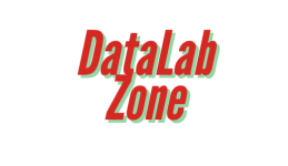 Data Lab Zone brand